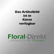 Blütengirlande Holz Perlen Girlande Blume Blüte L 120 cm 6 Blüten Blütengirlande Holz Perlen Girlande Blume Blüte L 120 cm 6 Blüten